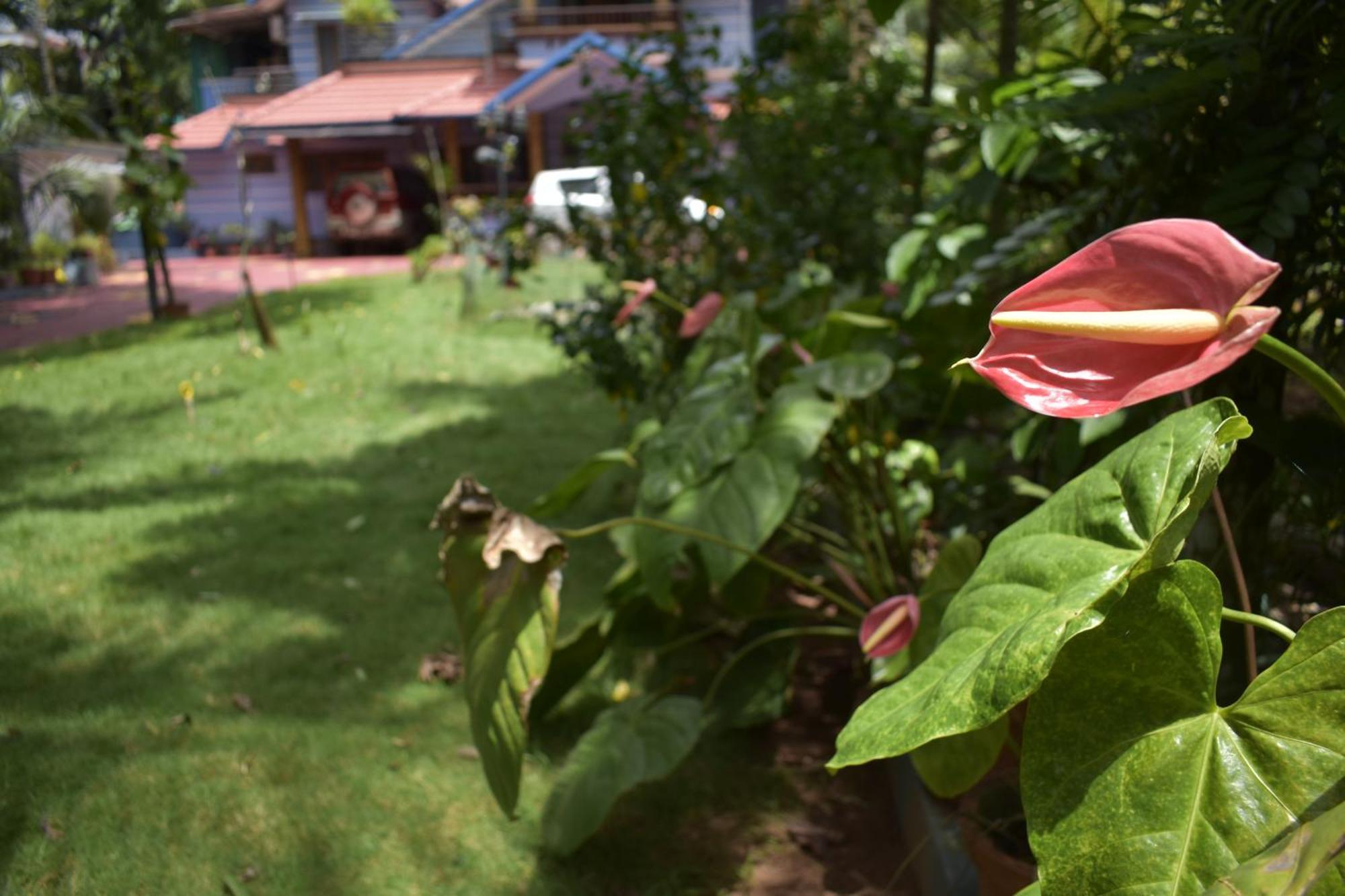 Ben'S Villa Kannur ! Eksteriør bilde